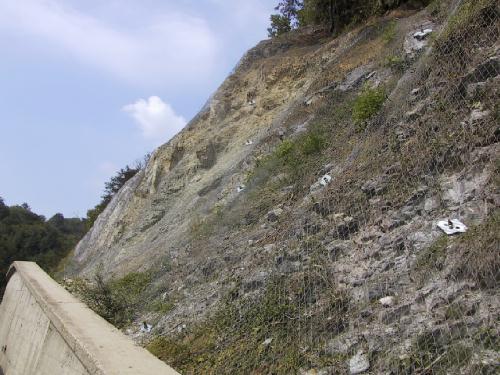 [Protezione con tecco consolidamento parete rocciosa]