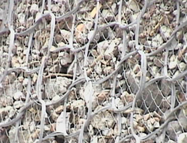 [Debris flow Mud flow debrisflow colate detritiche colate di fango geobrugg Falzoni Torino]