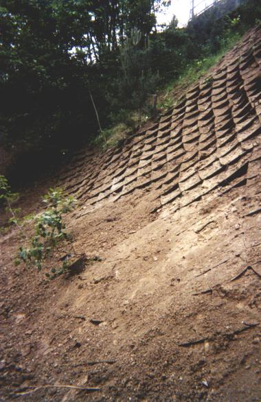 [Geocelle protezione erosione]