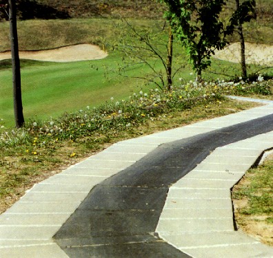 [Pavimentazione in un campo da golf]