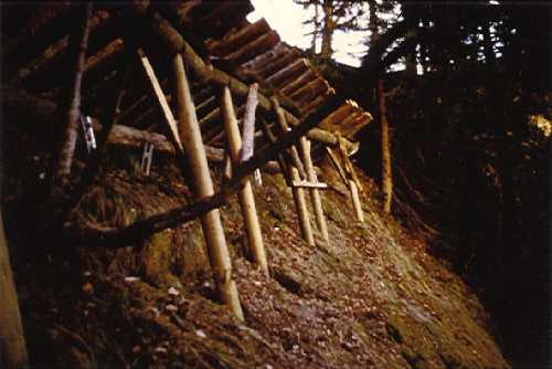 [Ponti da neve in legno]