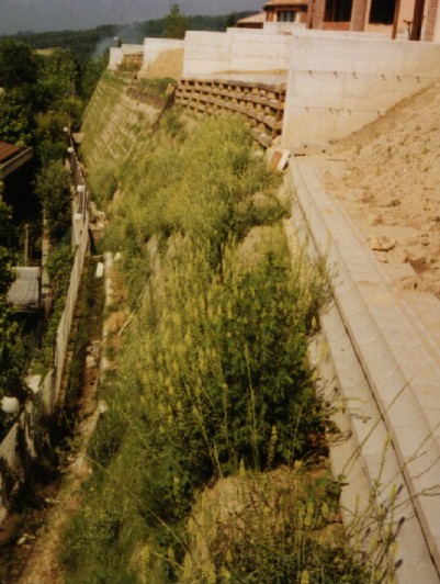 [Foto terra rinforzata inerbita con biostuoia di juta]