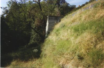 [Foto terra rinforzata inerbita con idrosemina]
