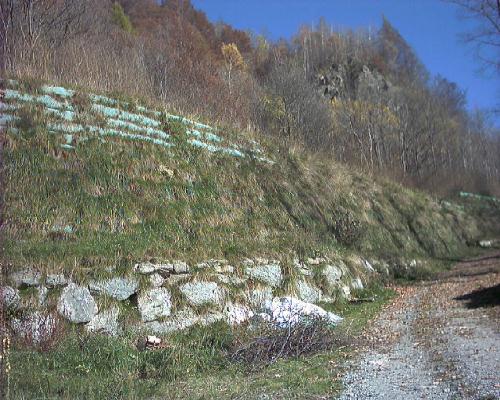 [Vallo paramassi terra rinforzata]