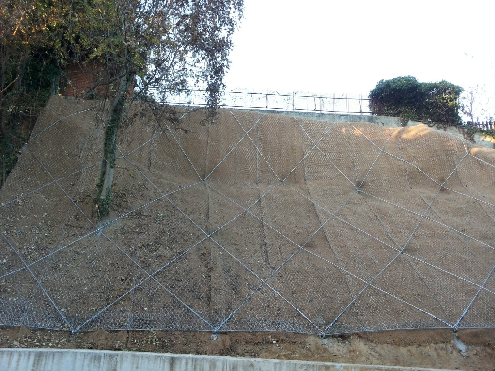 [Recs rete a doppia torsione accoppiata al cocco]